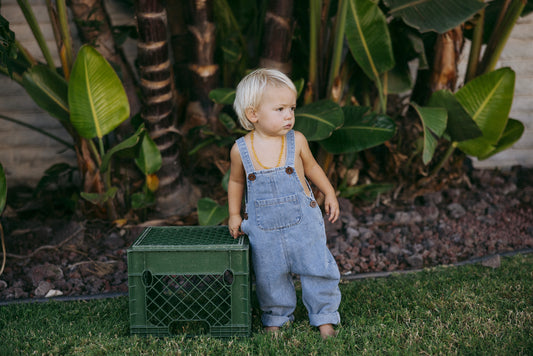 Mesa Overalls