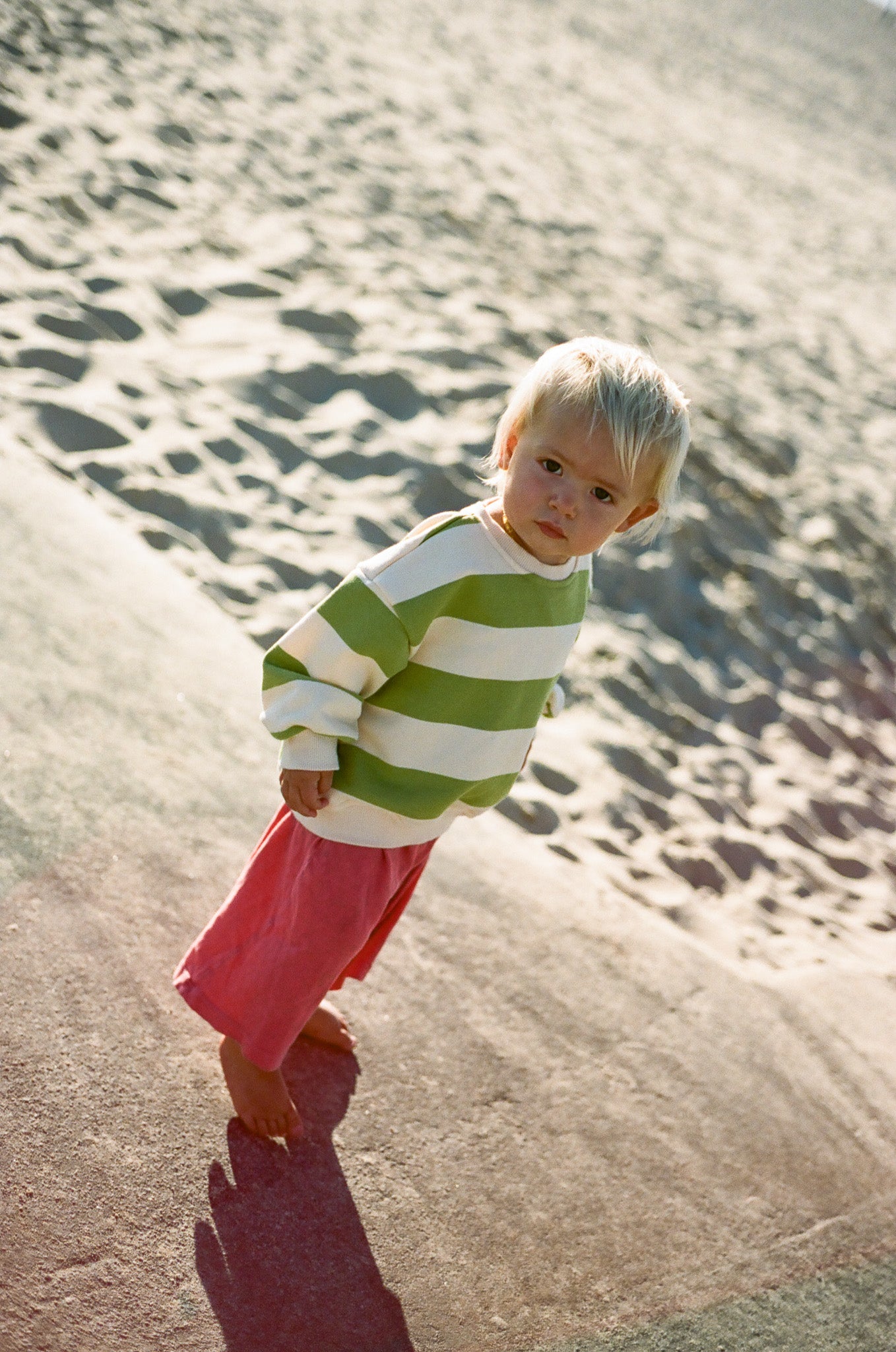 Canyon Stripe Sweatshirt