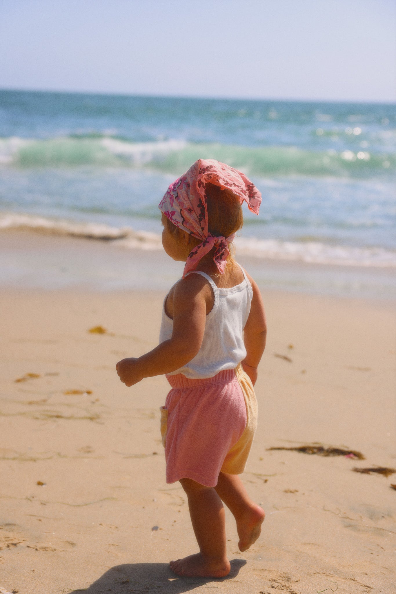 Sorbet Terry Short