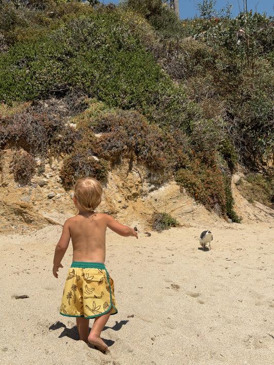 Banana Bay Boardies